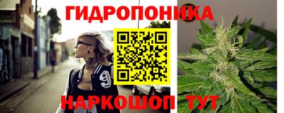 альфа пвп Аргун