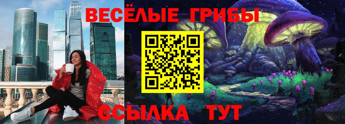 купить закладку  Южноуральск  Псилоцибиновые грибы Magic Shrooms 