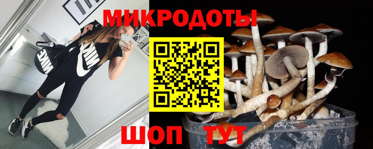 Псилоцибиновые грибы прущие грибы Южноуральск